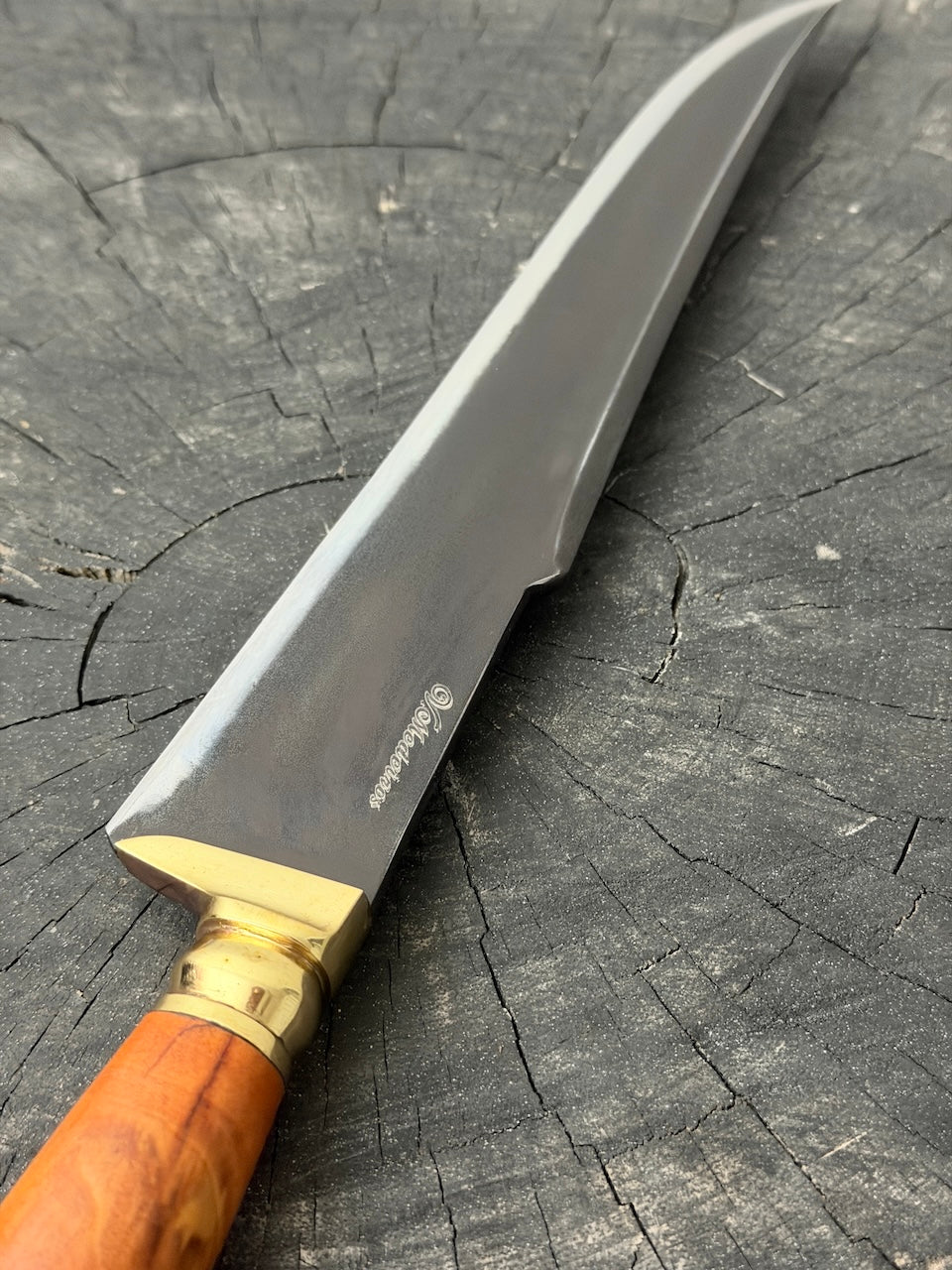 10" Shark Fin Chef&