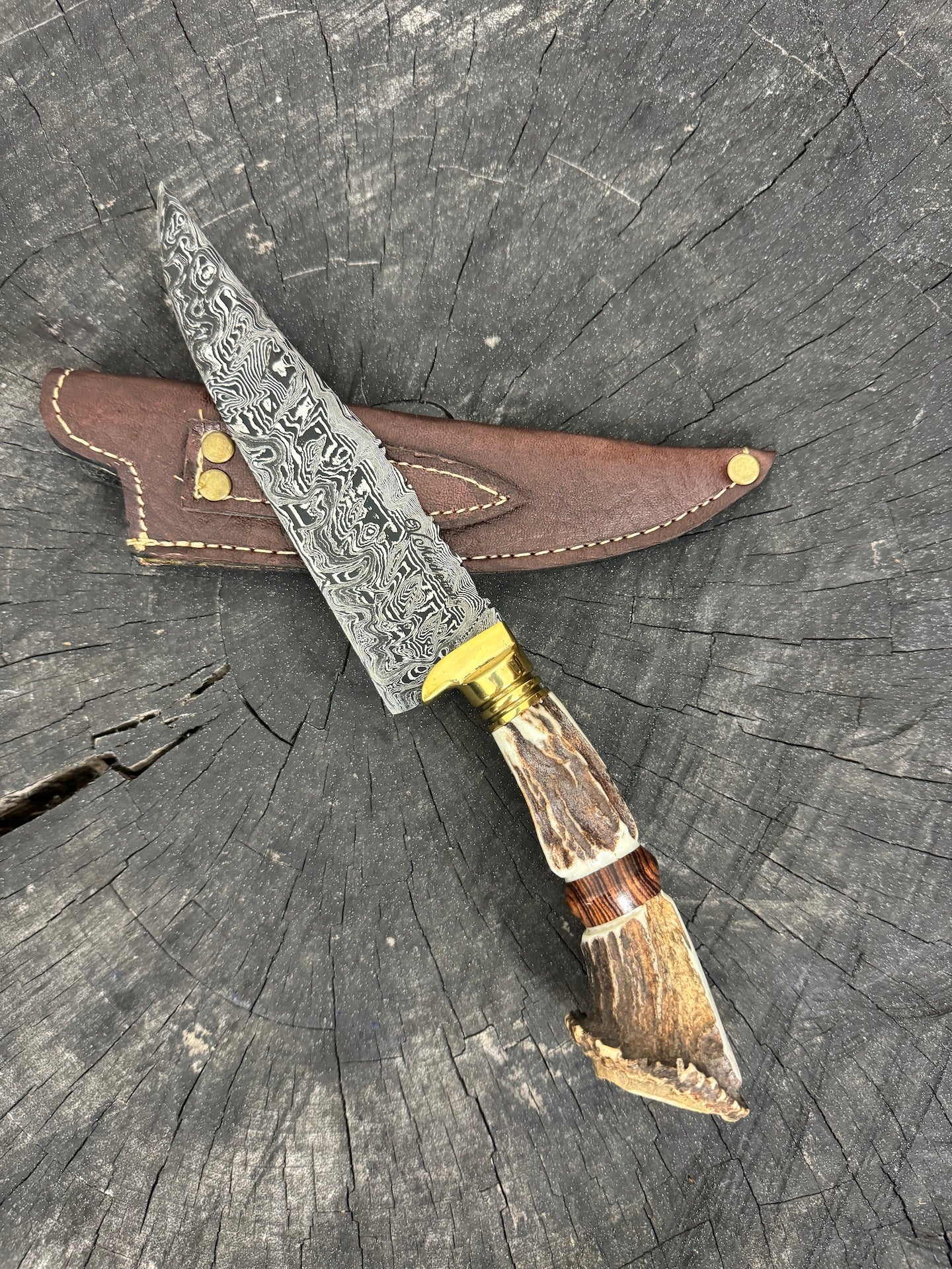 6" Damascus Knife, Deer Antler, CS1095 15n20