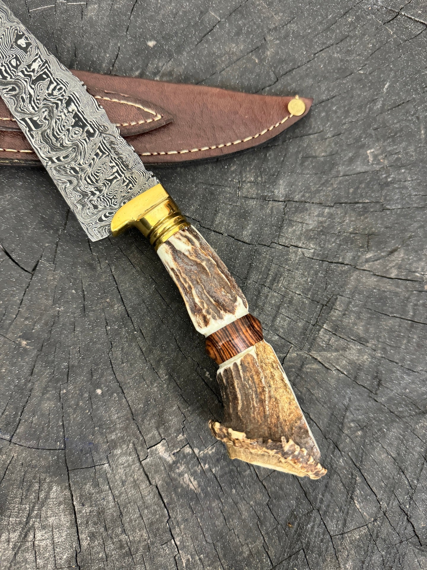 6" Damascus Knife, Deer Antler, CS1095 15n20