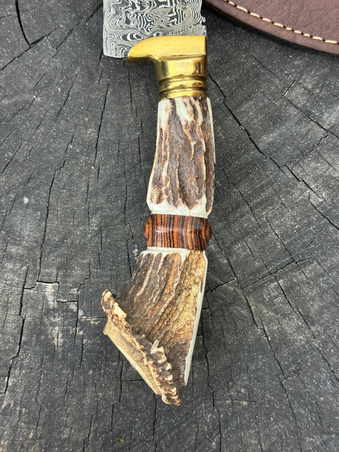 6" Damascus Knife, Deer Antler, CS1095 15n20