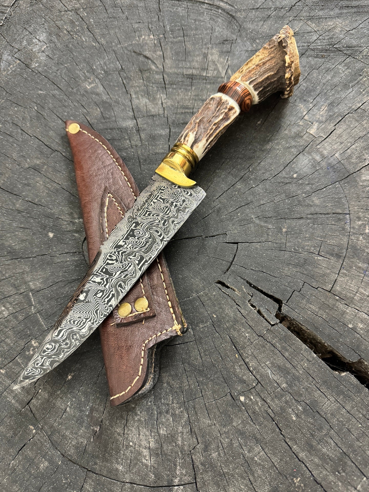 6" Damascus Knife, Deer Antler, CS1095 15n20
