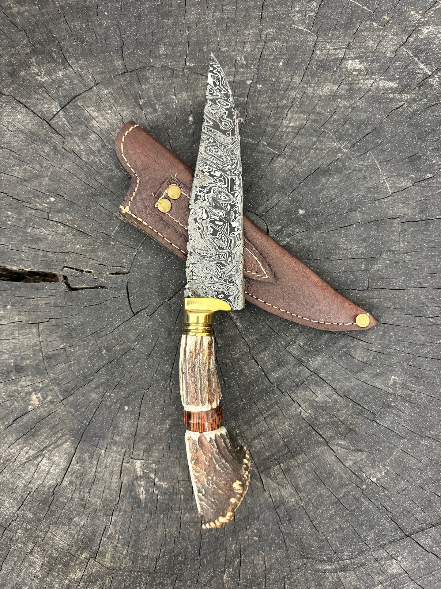 6" Damascus Knife, Deer Antler, CS1095 15n20
