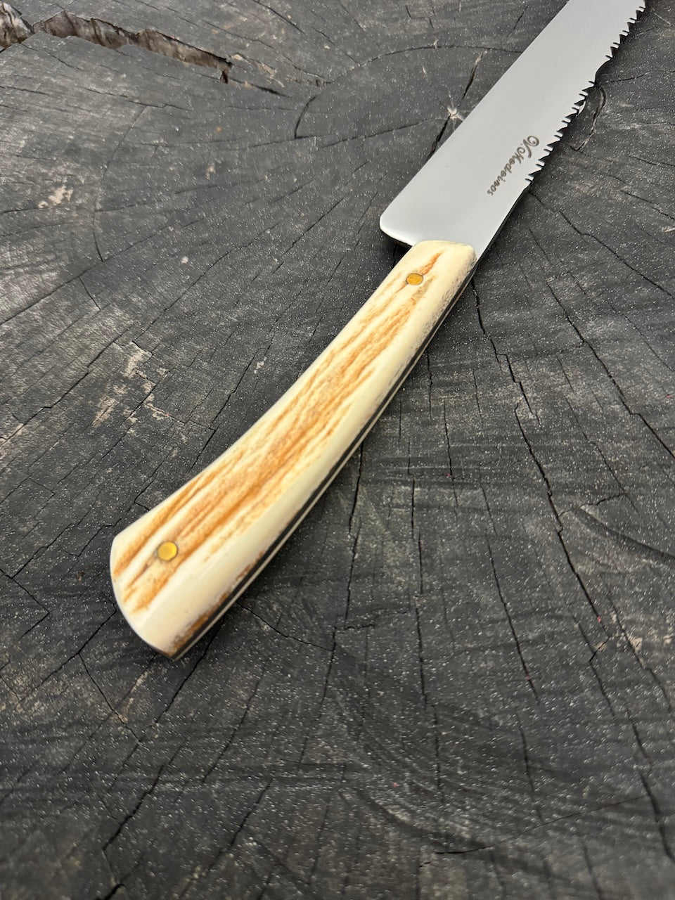 10" Chimango Knife, Deer Antler, SS440 - 250mm