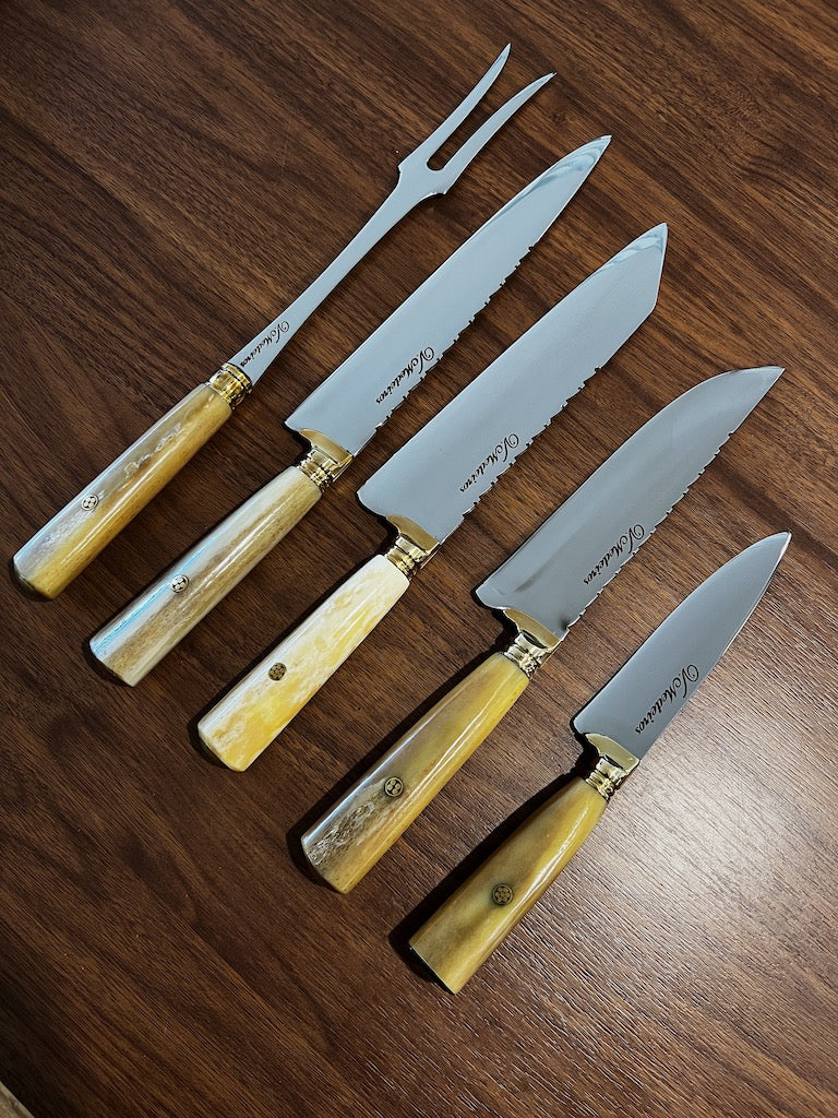 BBQ Knife Set of Ostrich Bone Handles SS440