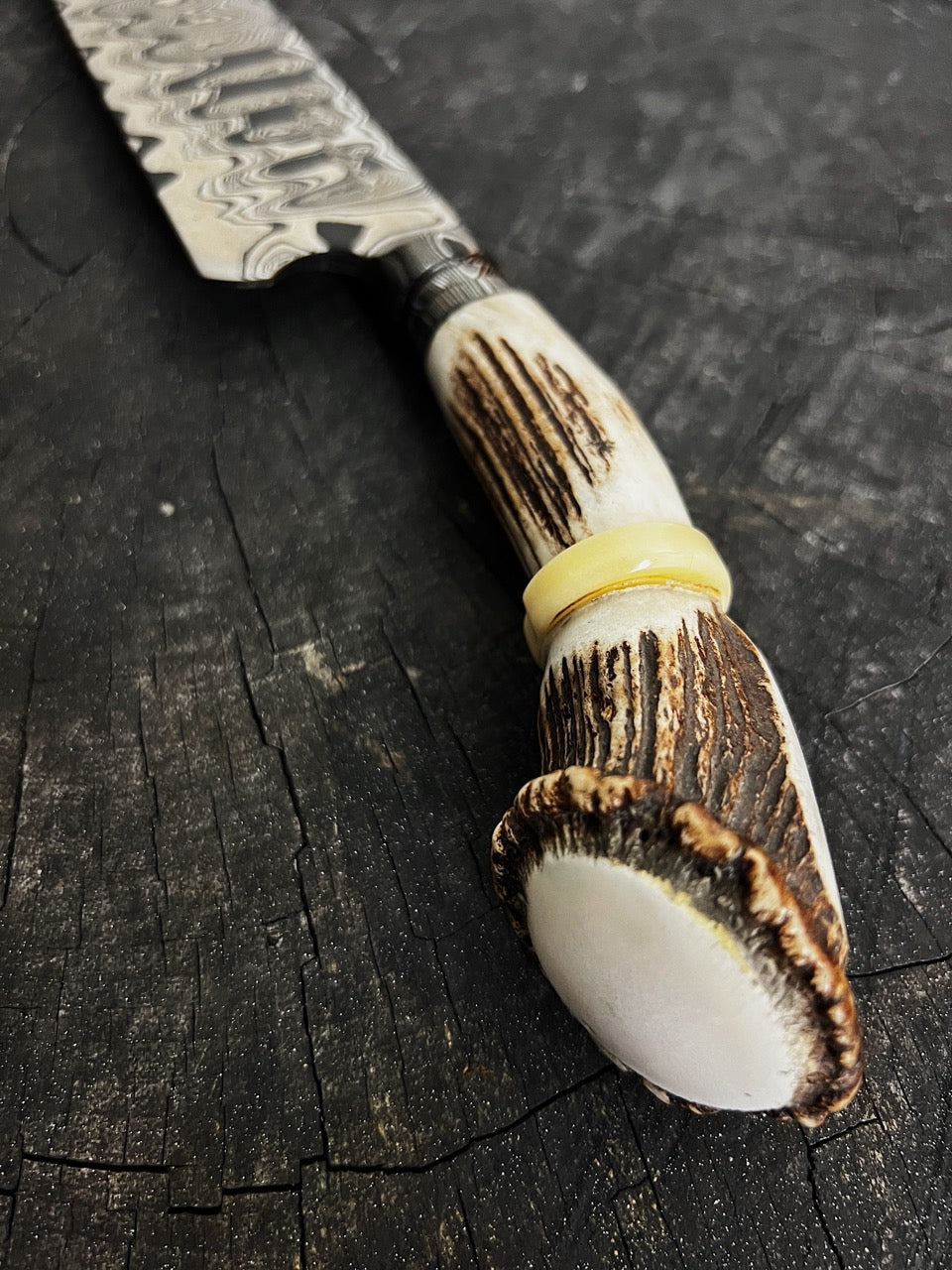 10" Damascus Knife 220 Layers DA CS1095 15n20