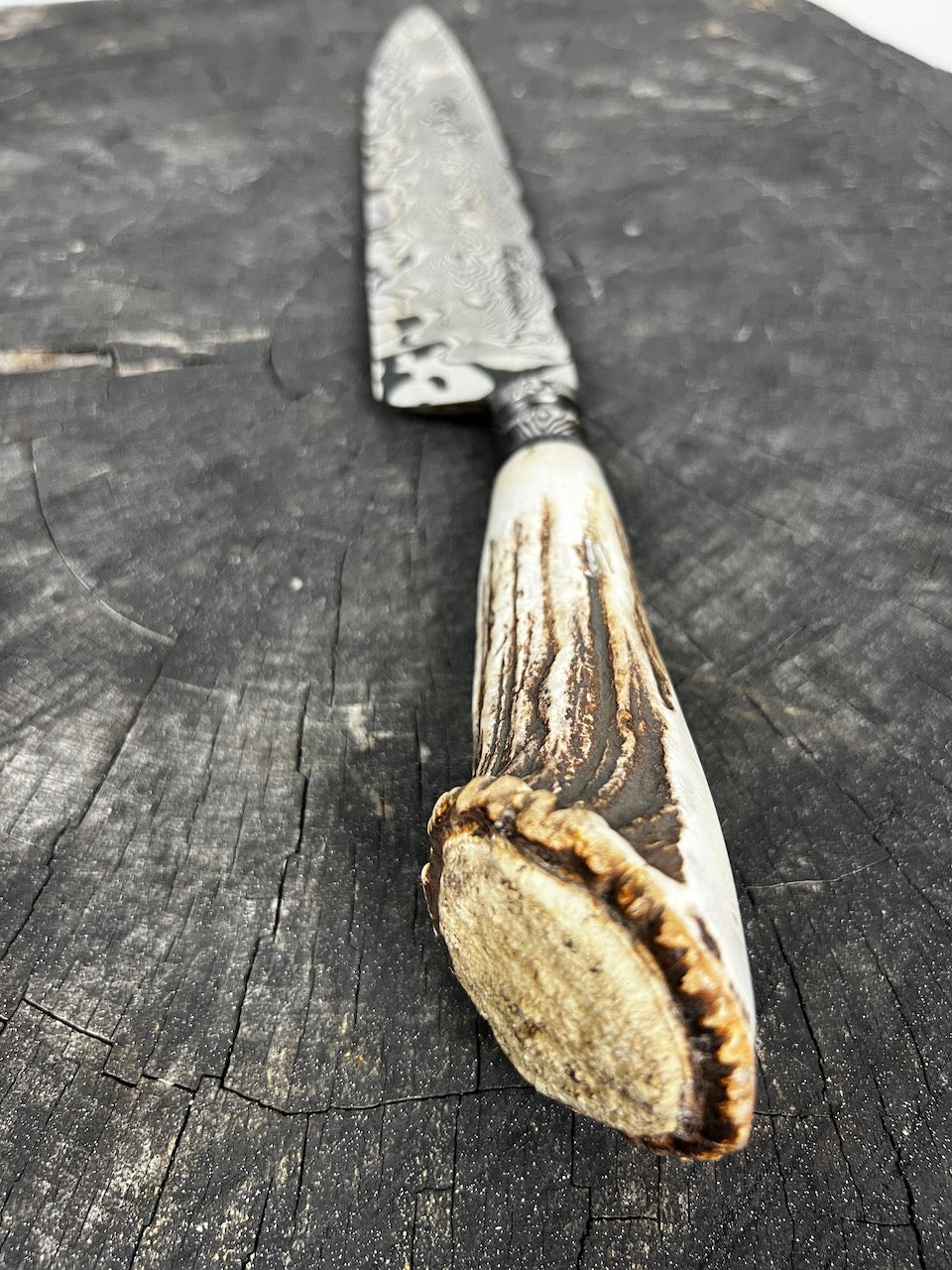 10" Damascus Knife 220 Layers, Deer Antler CS1095 15n20