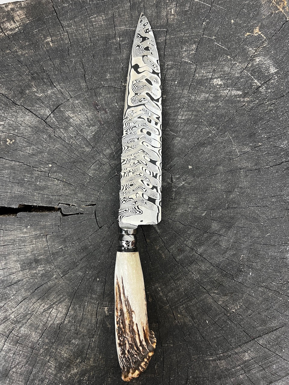 10" Damascus Knife 220 Layers, Deer Antler CS1095 15n20