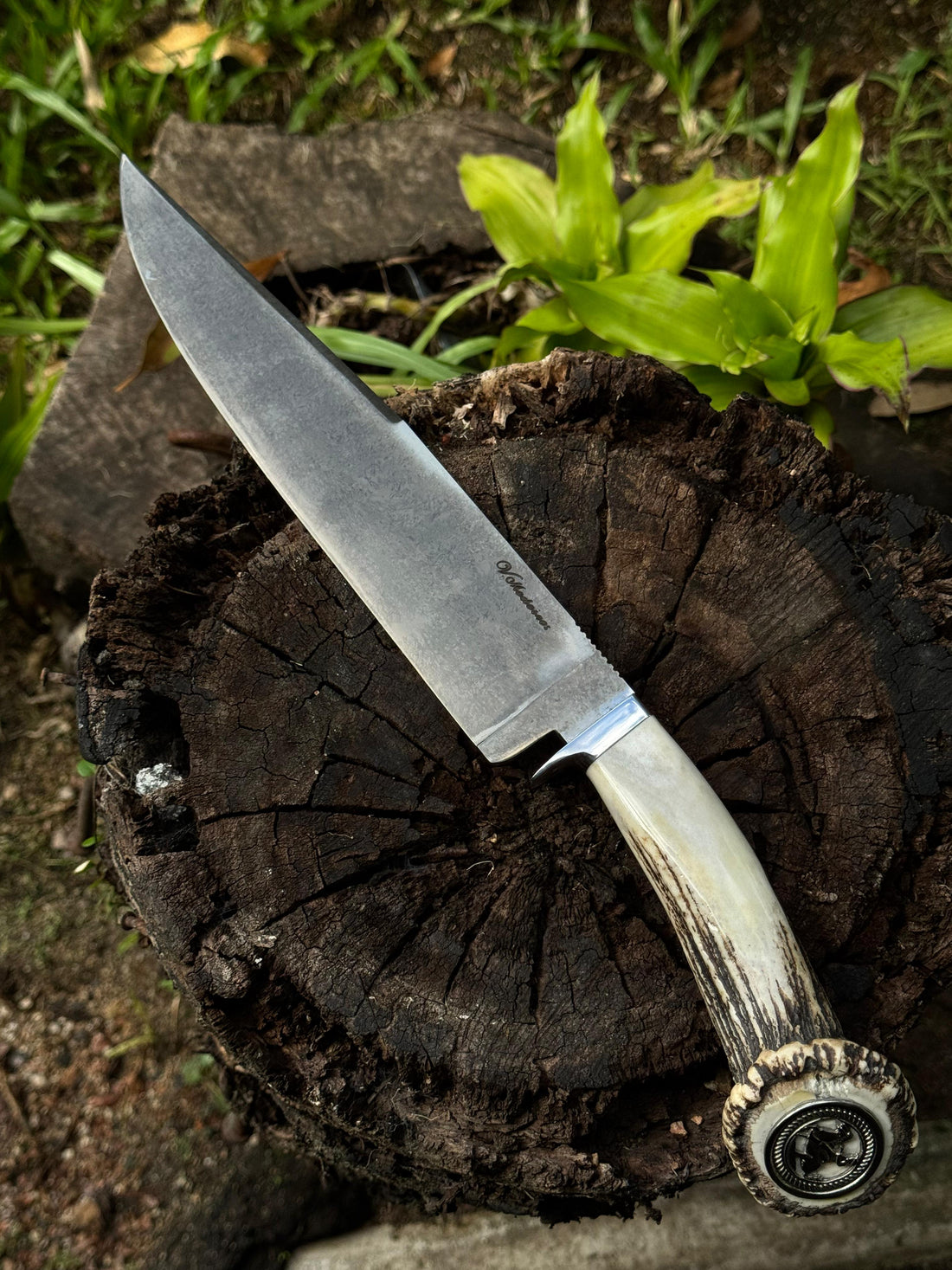 10” Bowie Knife with Guard - Forged Carbon Steel 1090 - 250mm