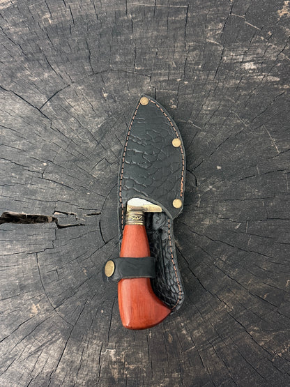 3.5” Skinner Knife, Arruda Hardwood - SS440 - 90mm