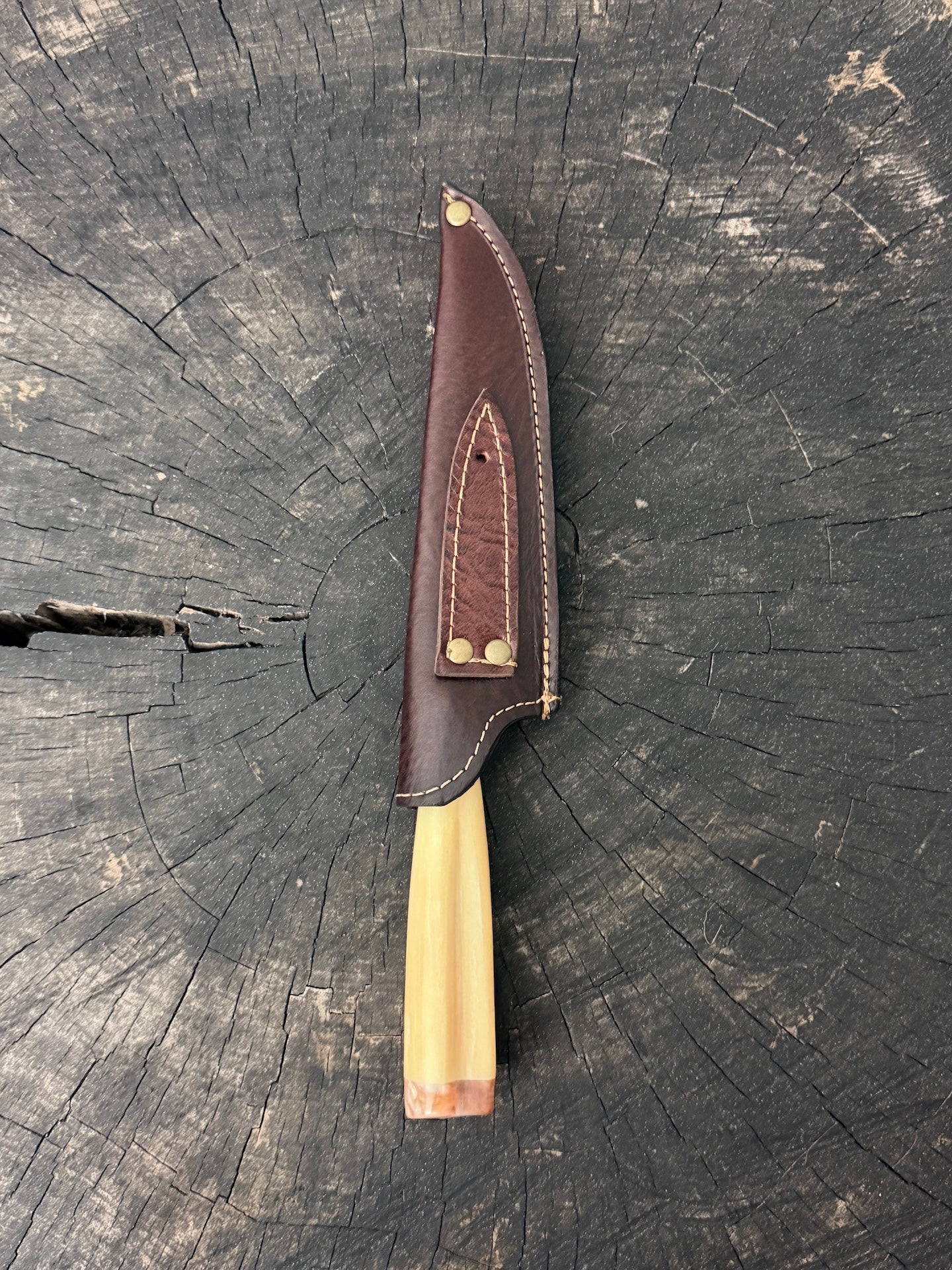 6" Utility Knife, Ostrich Bone, SS440 - 150mm