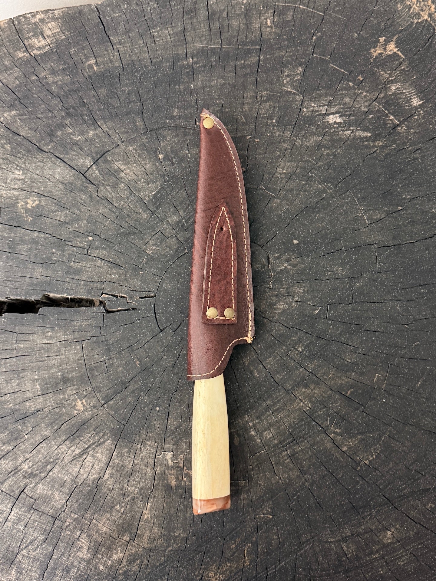 6" Utility Knife, Ostrich Bone, SS440 - 150mm