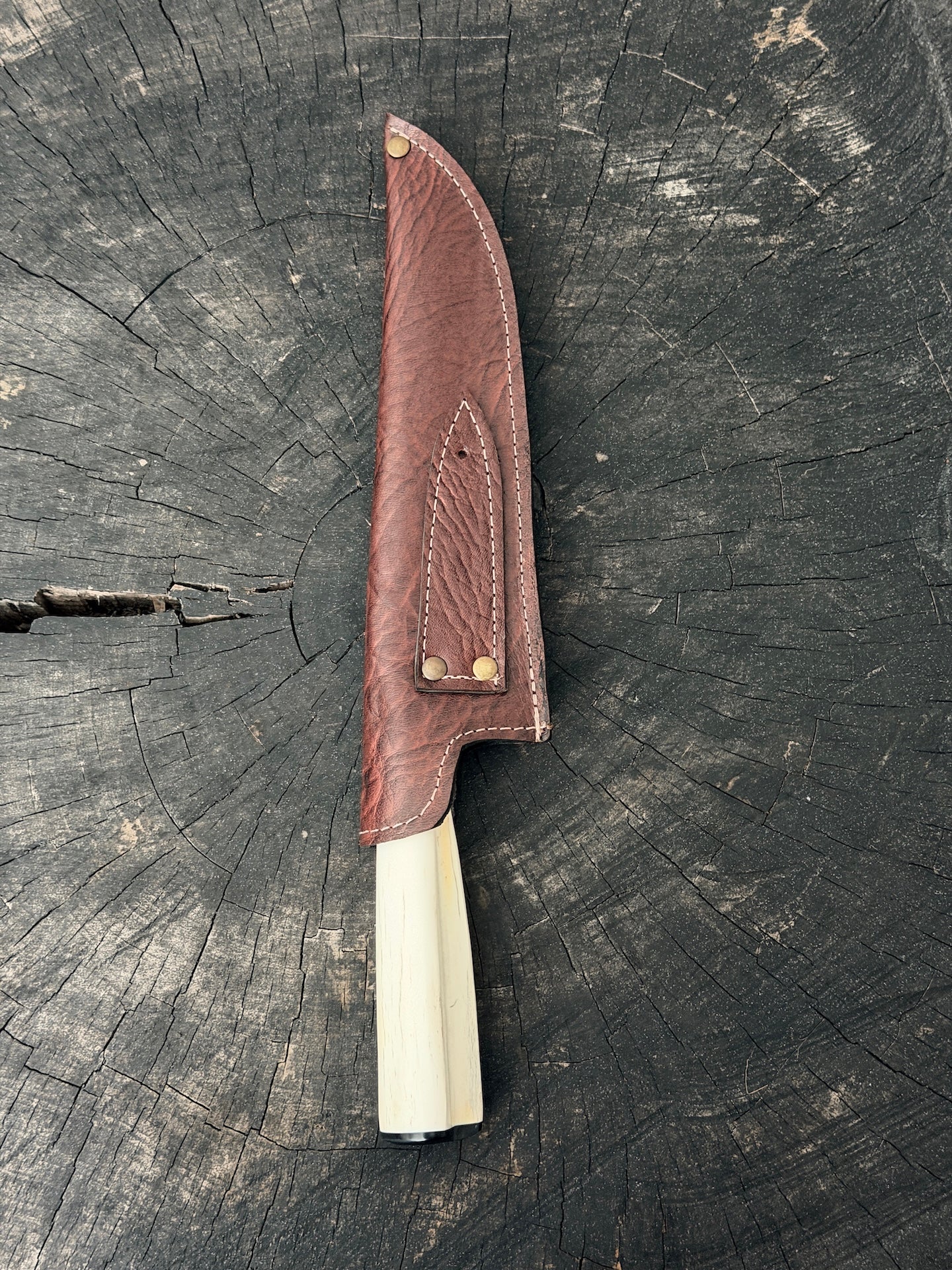 8" Artisan Knife, Ostrich Bone, SS440 - 190mm