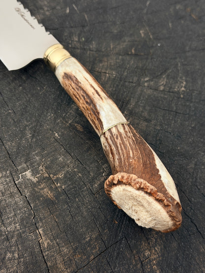 9" Artisan BBQ Knife, Deer Antler Rosette, SS440 - 230mm