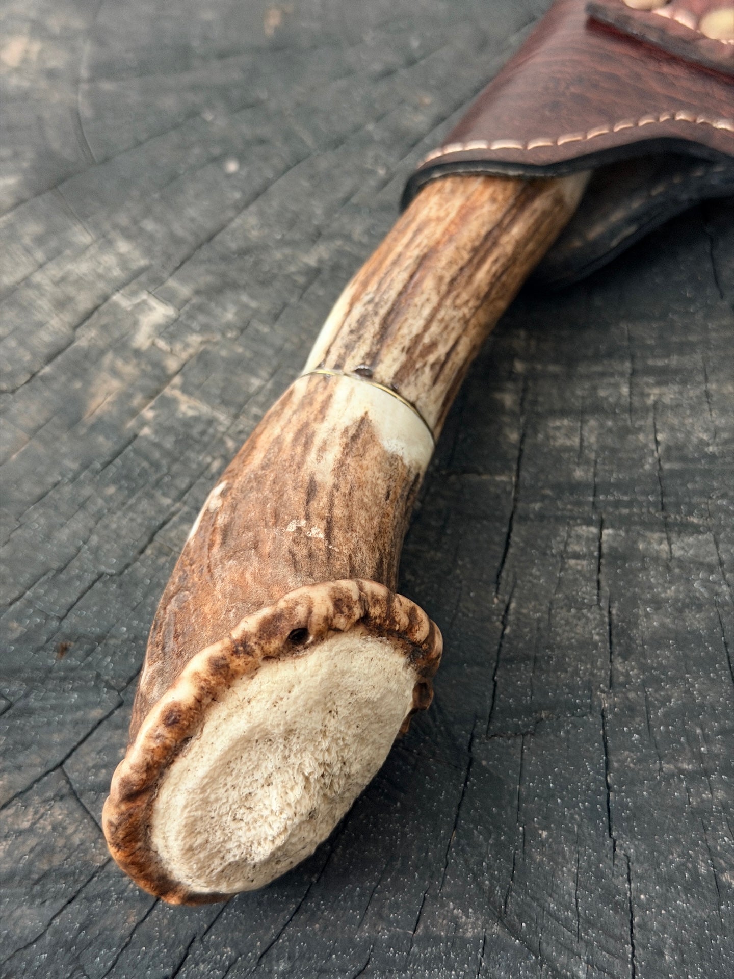 9" Artisan BBQ Knife, Deer Antler Rosette, SS440 - 230mm