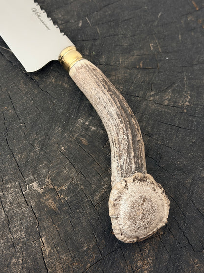 9" Artisan BBQ Knife, Deer Antler Rosette, SS440 - 230mm