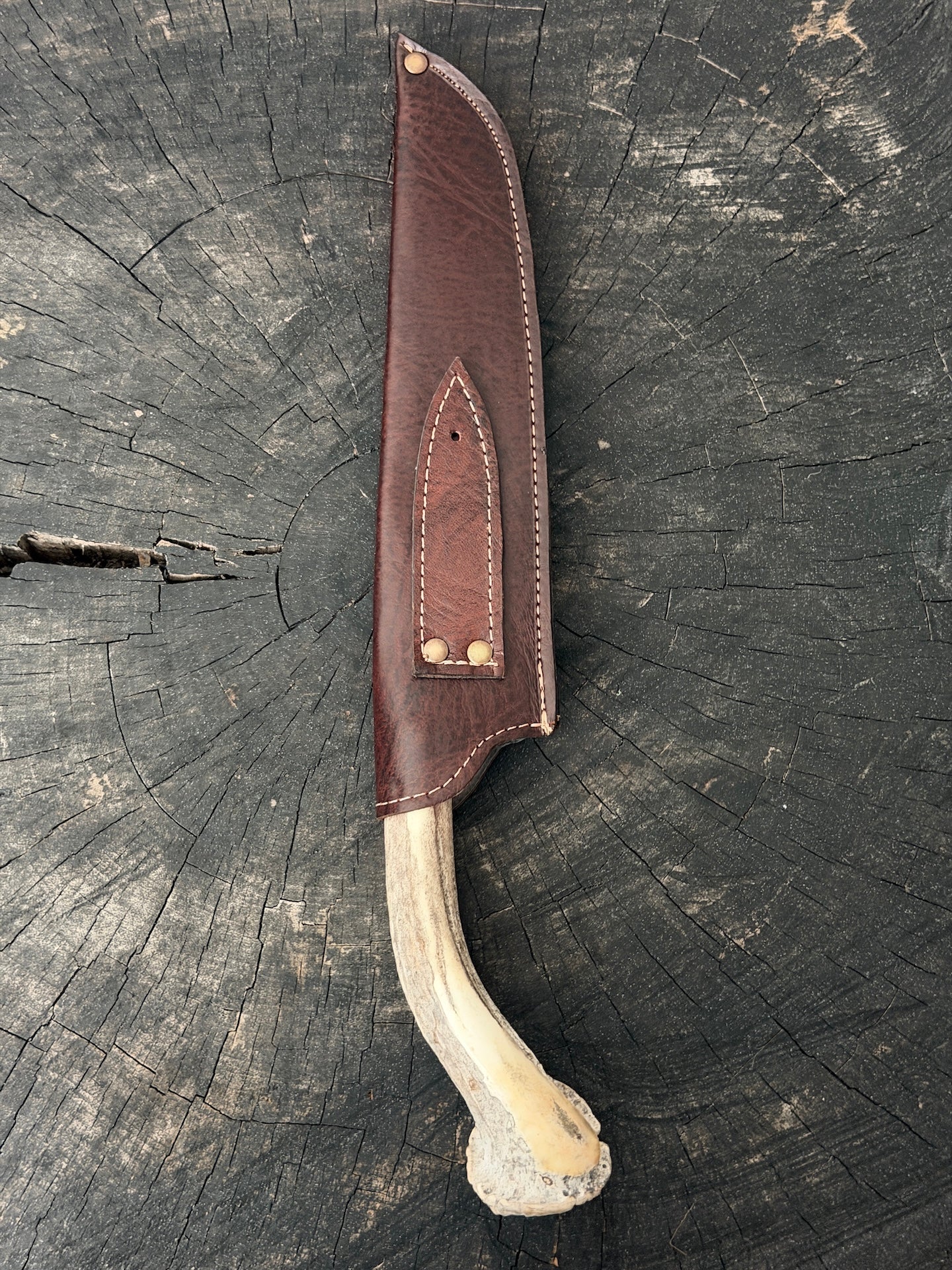 9" Artisan BBQ Knife, Deer Antler Rosette, SS440 - 230mm
