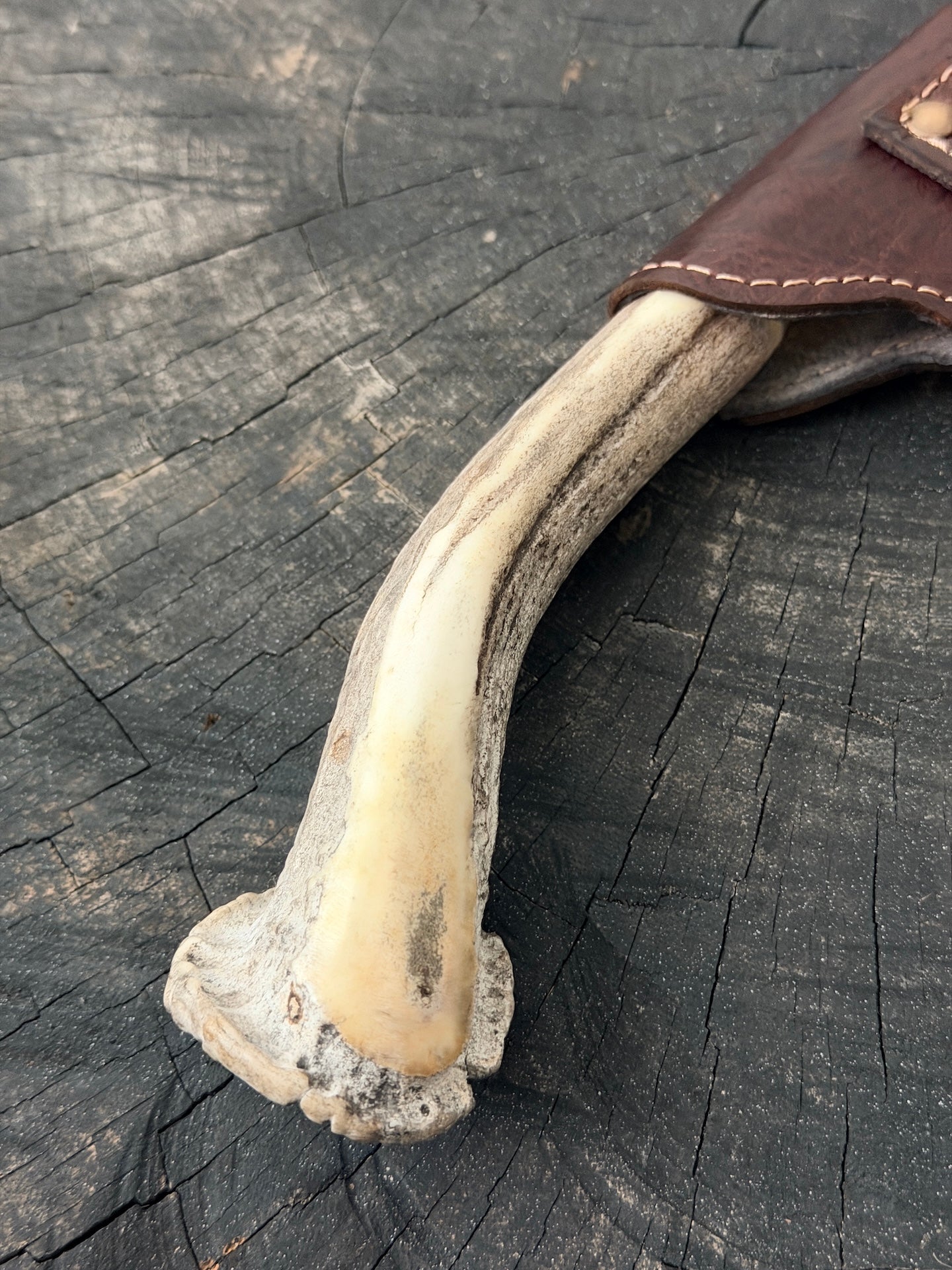 9" Artisan BBQ Knife, Deer Antler Rosette, SS440 - 230mm