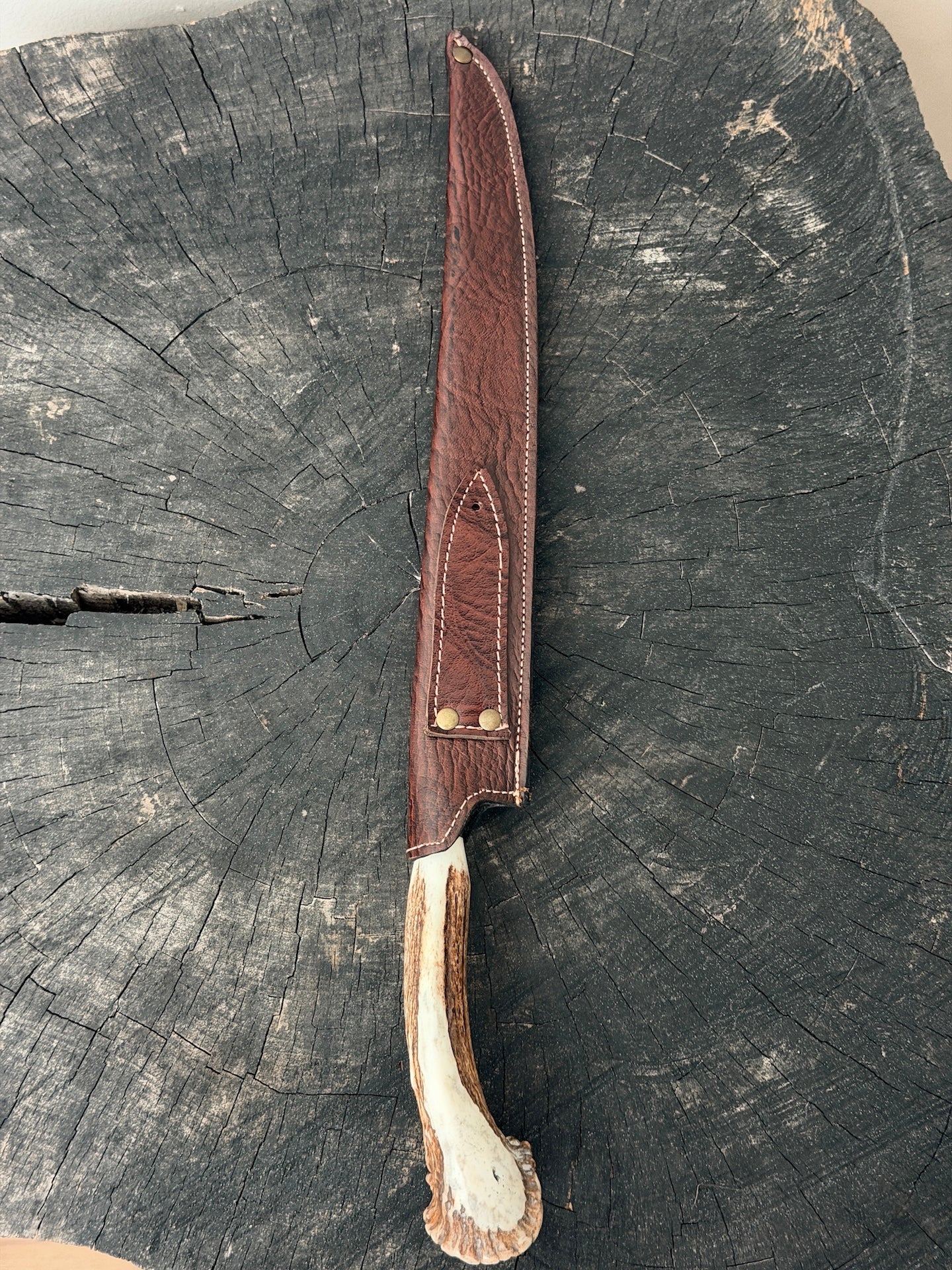12" Chimango Knife, Deer Antler Rosette, SS440 - 300mm