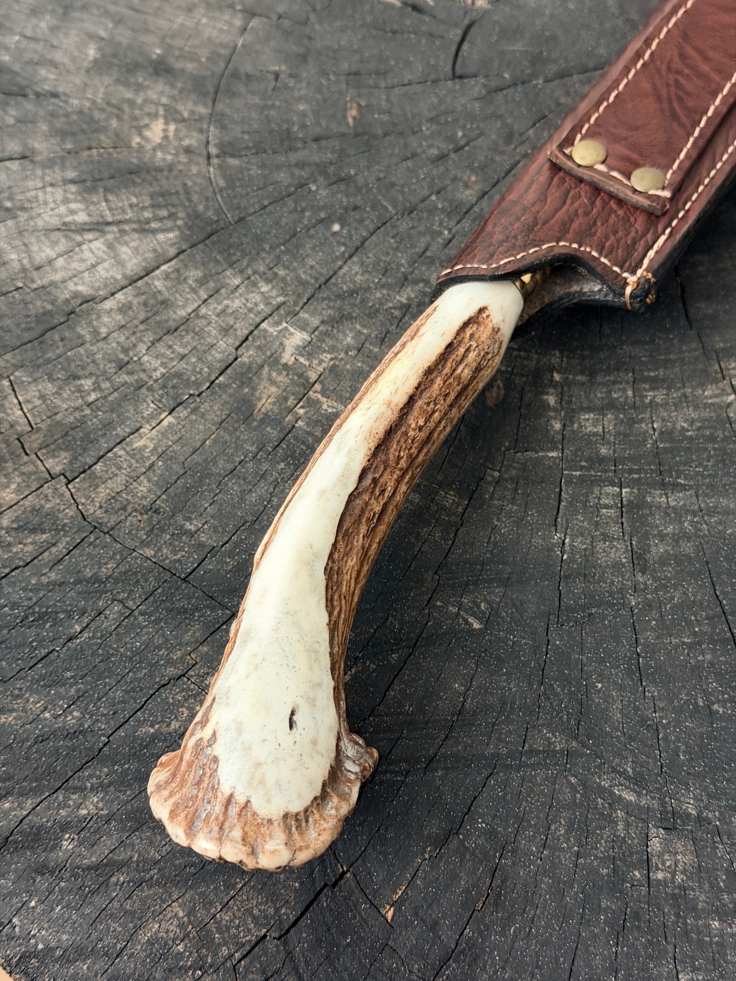 12" Chimango Knife, Deer Antler Rosette, SS440 - 300mm