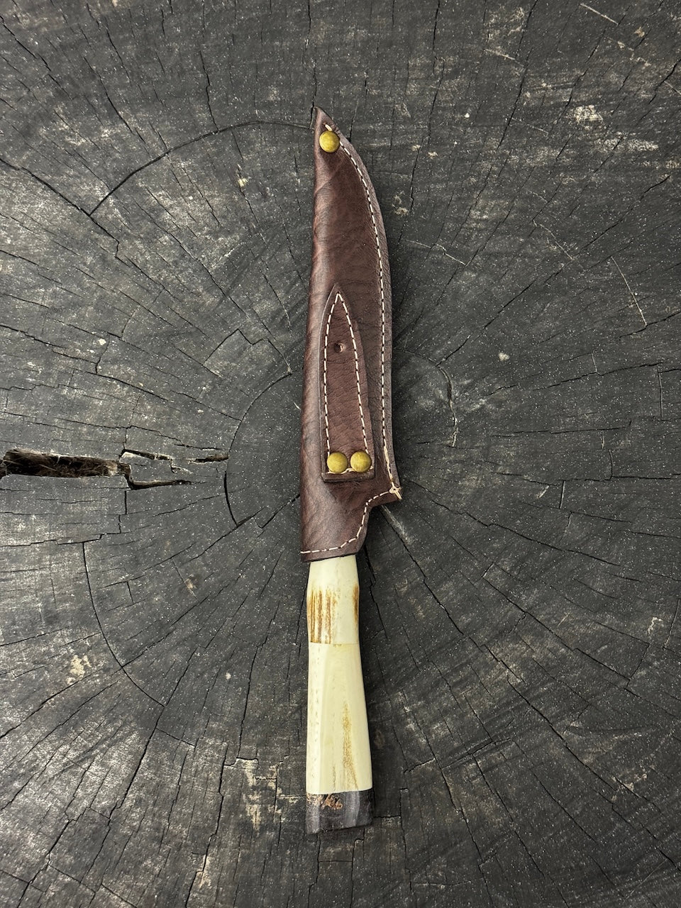 5" Boning Knife, Ostrich Bone &amp; Deer Antler, SS440 - 130mm