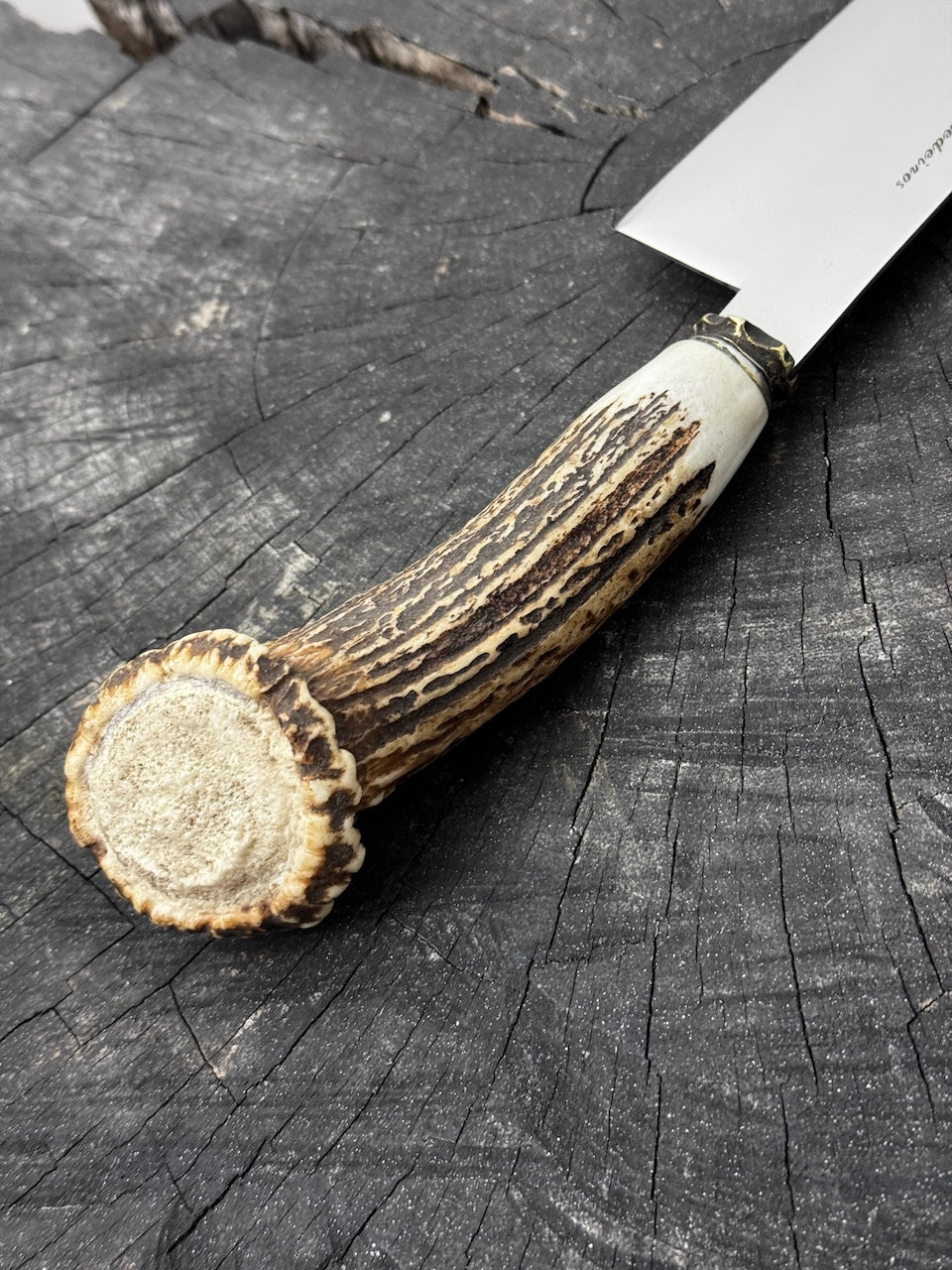 8" Kultura Knife, Deer Antler, SS440 - 200mm