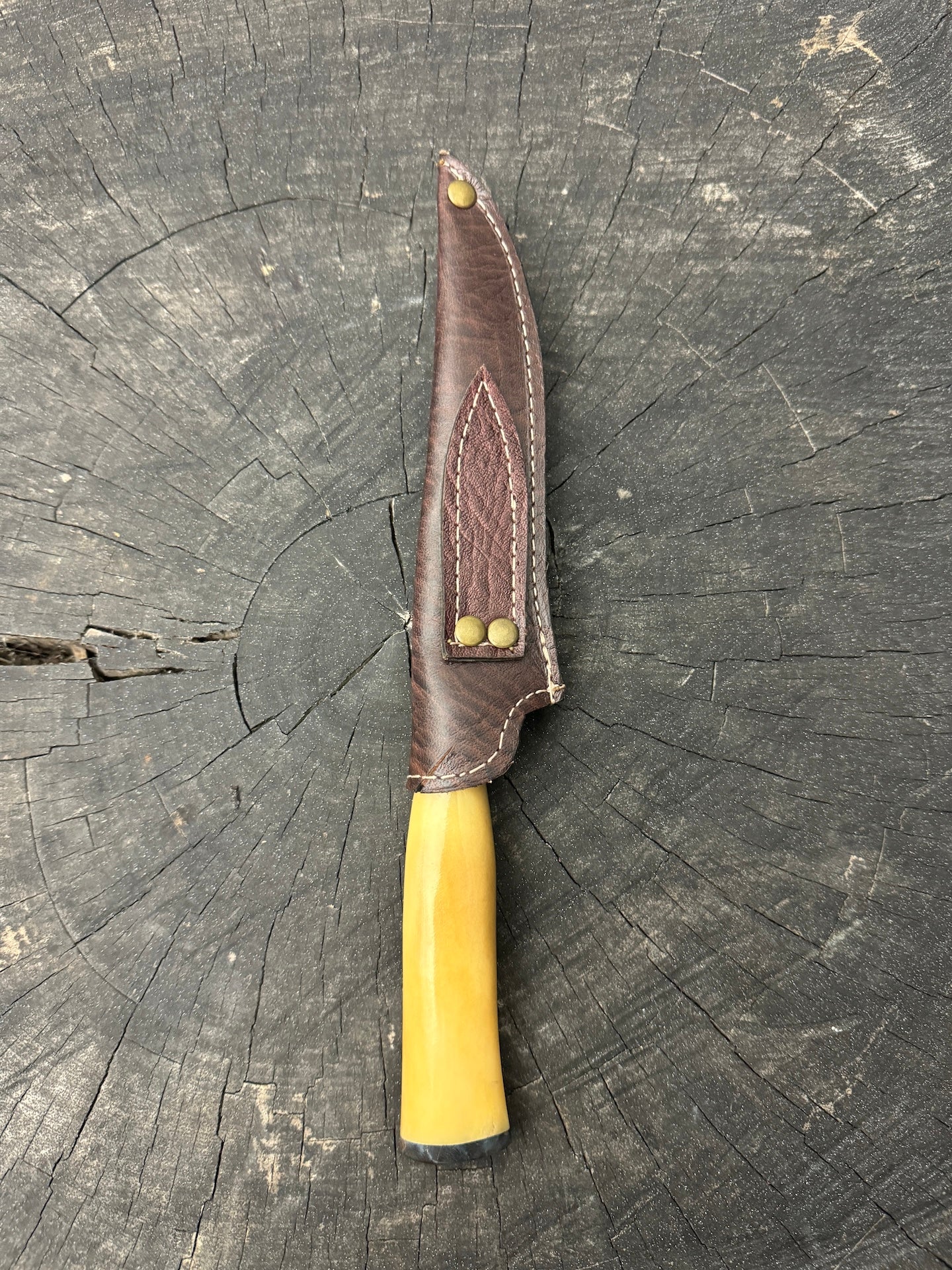 5&quot; Steak Knife, Ostrich Bone, SS440 - 125mm