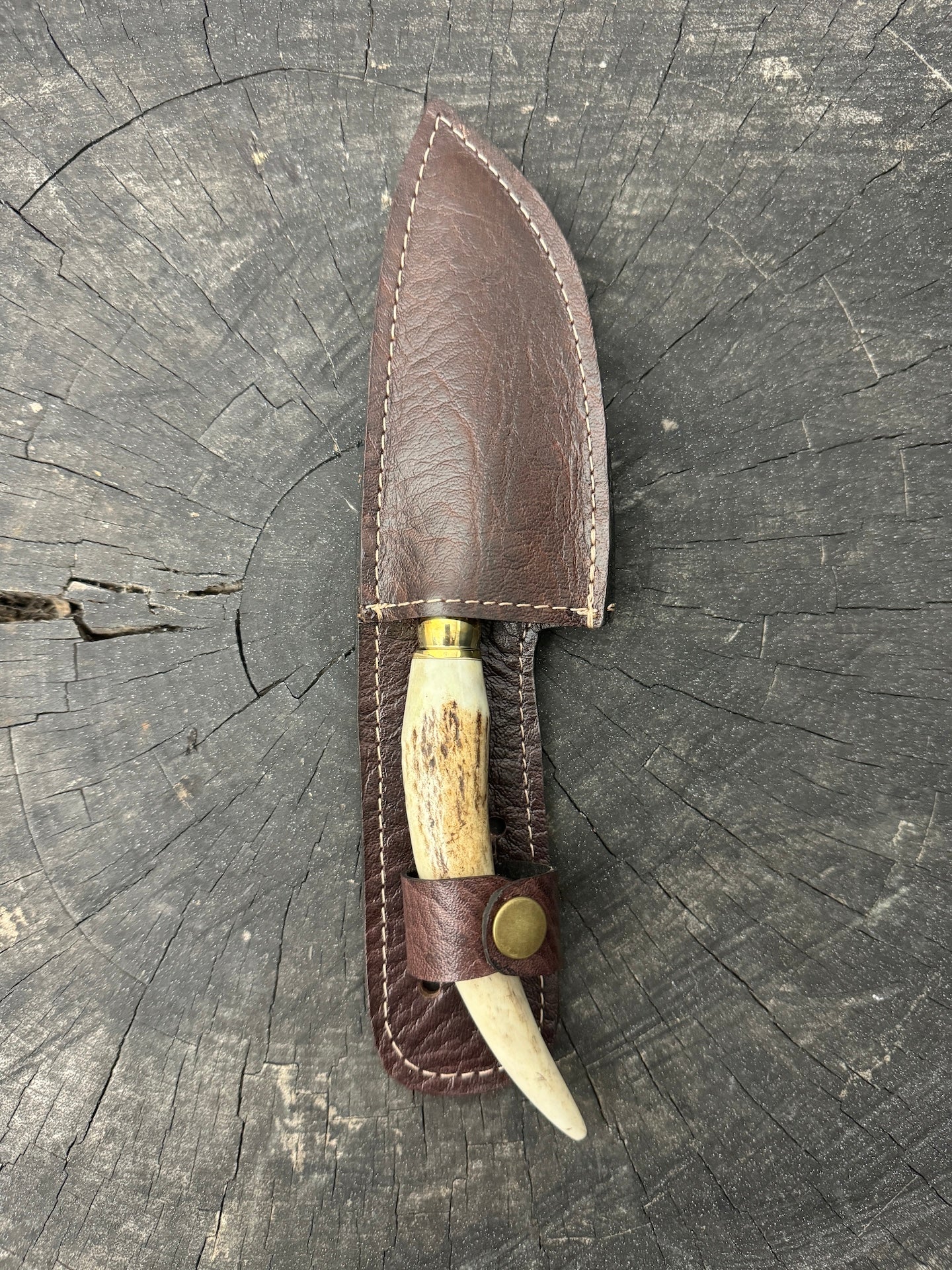 4” Skinner Knife, Deer Antler - SS420 - 105mm