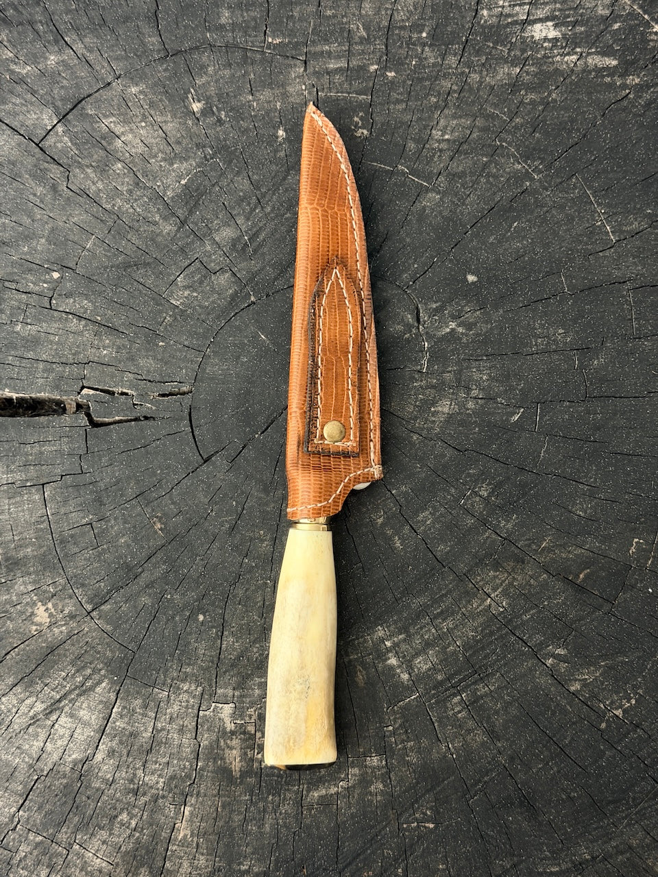 5" Boning Knife, Ostrich Bone, SS440 - 130mm