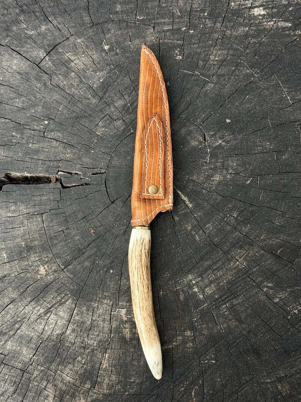 5" Boning Knife, Deer Antler, SS440 - 130mm