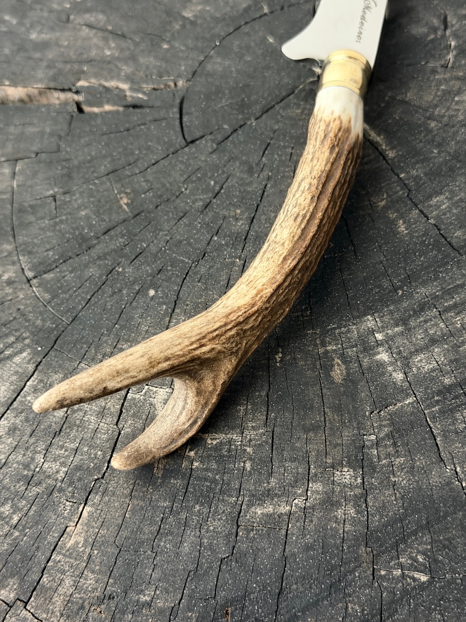 5" Boning Knife, Deer Antler, SS440 - 130mm