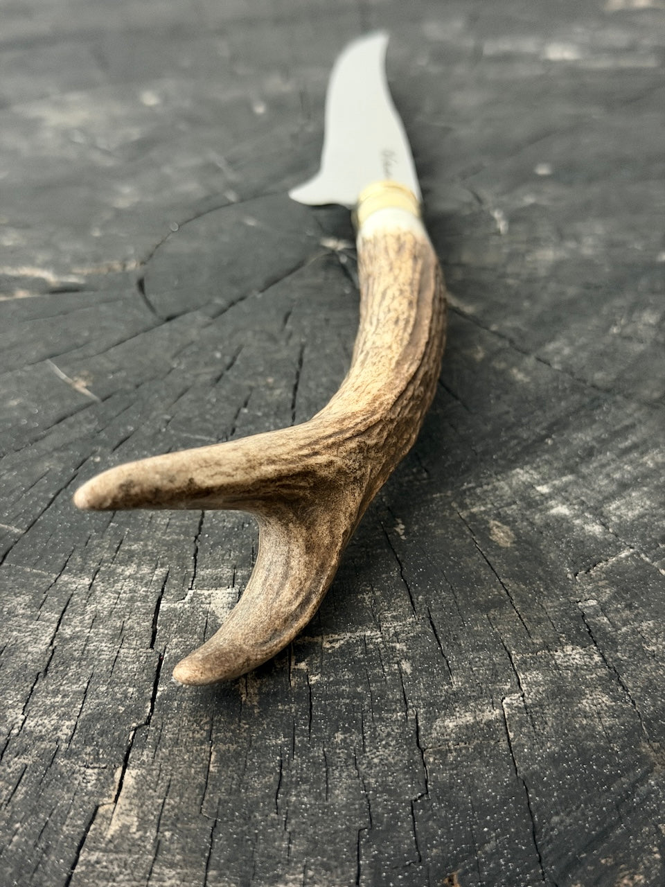 5" Boning Knife, Deer Antler, SS440 - 130mm