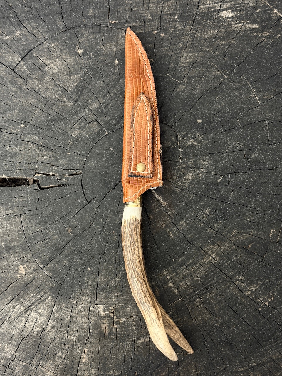 5" Boning Knife, Deer Antler, SS440 - 130mm