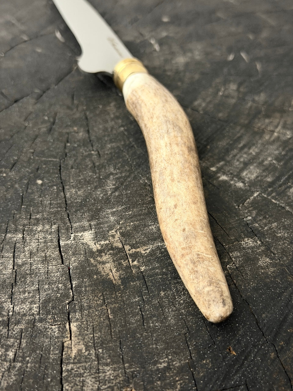 8" Boning Knife, Deer Antler Galheta, SS420 - 200mm