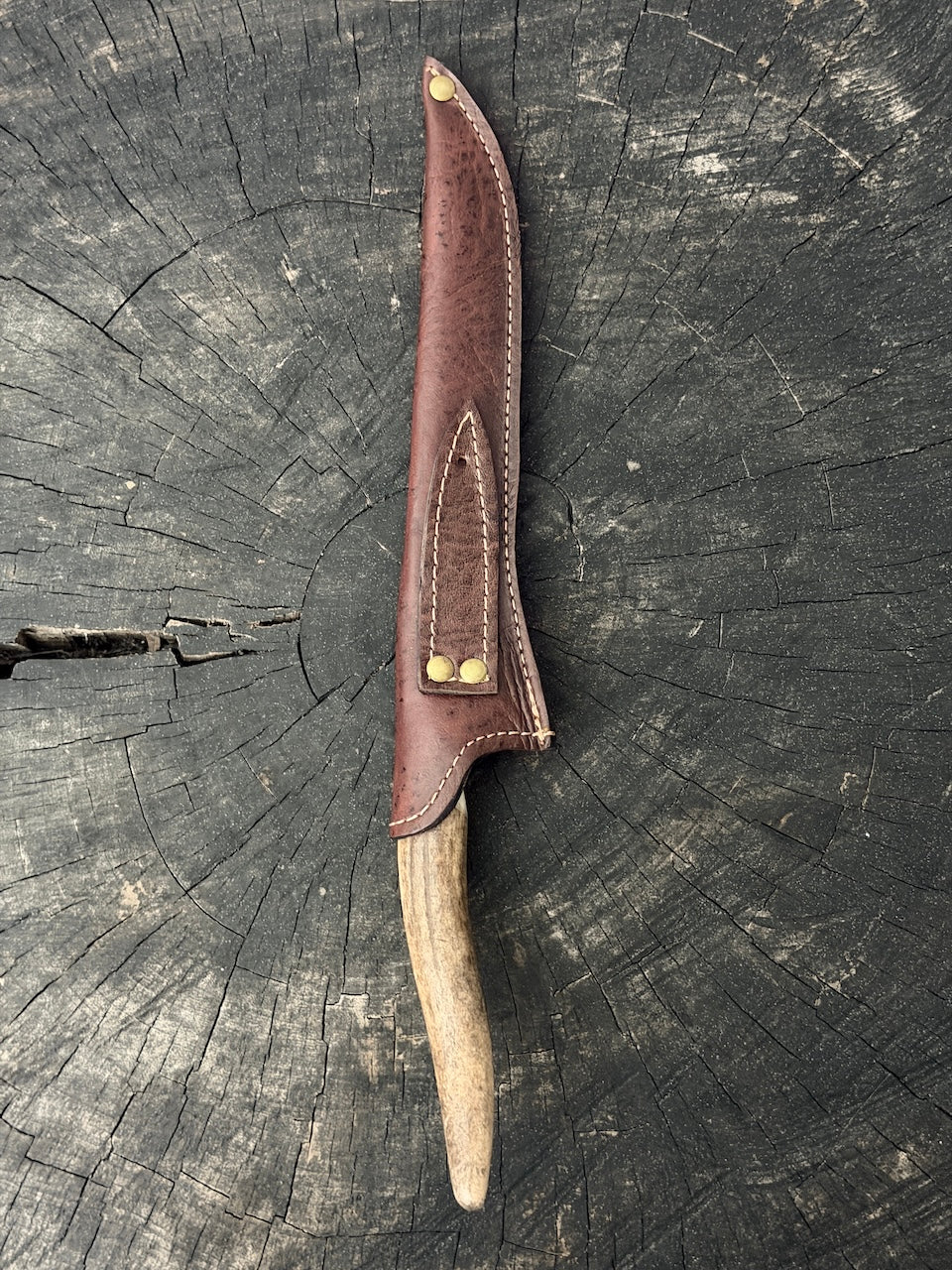 8" Boning Knife, Deer Antler Galheta, SS420 - 200mm
