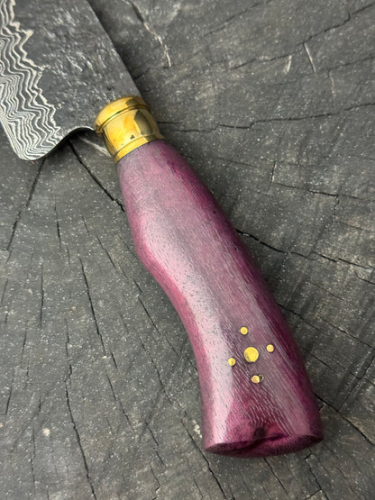 4&quot; Damascus Skinner Knife 100 Layers, Roxinho, HCS1070 15n20