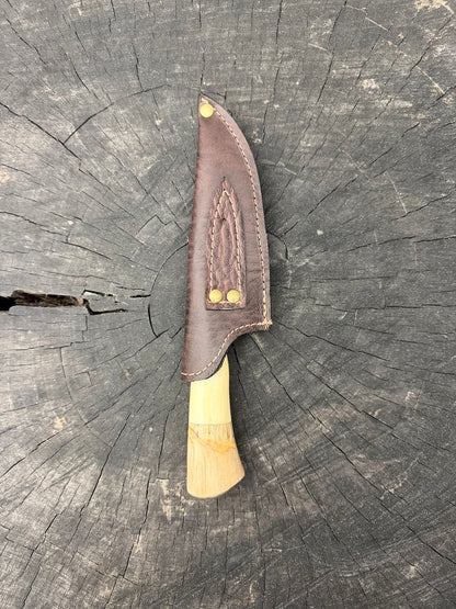 4” Skinner Knife, Ostrich Bone &amp; Orange Tree - SS420 - 105mm