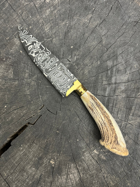 6" Damascus Knife, Deer Antler, CS1095 15n20