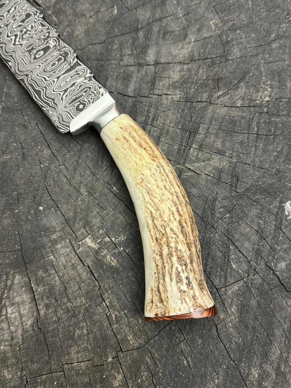 10&quot; Damascus Knife, Deer Antler, CS1095 15n20