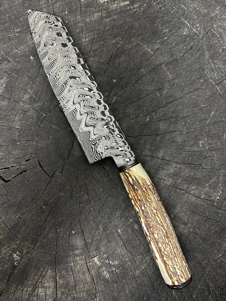 8" Damascus Knife, Deer Antler, CS1095 15n20