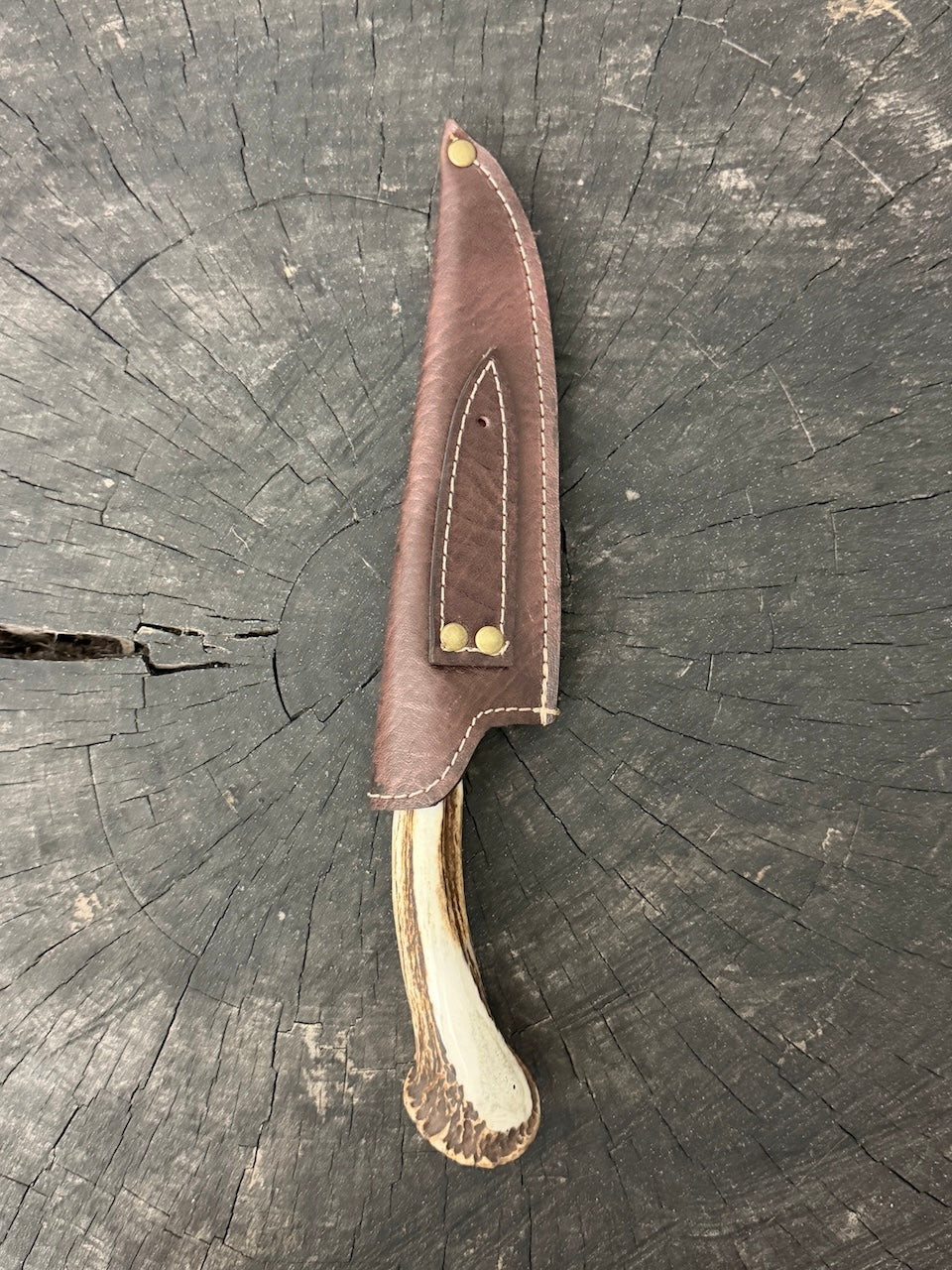 6" Utility Knife, Deer Antler Roseta, SS440 - 150mm