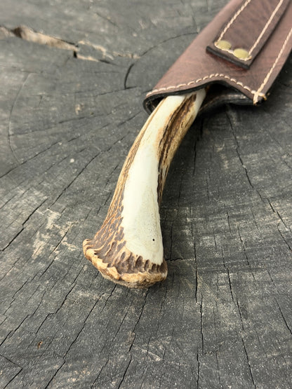 6" Utility Knife, Deer Antler Roseta, SS440 - 150mm