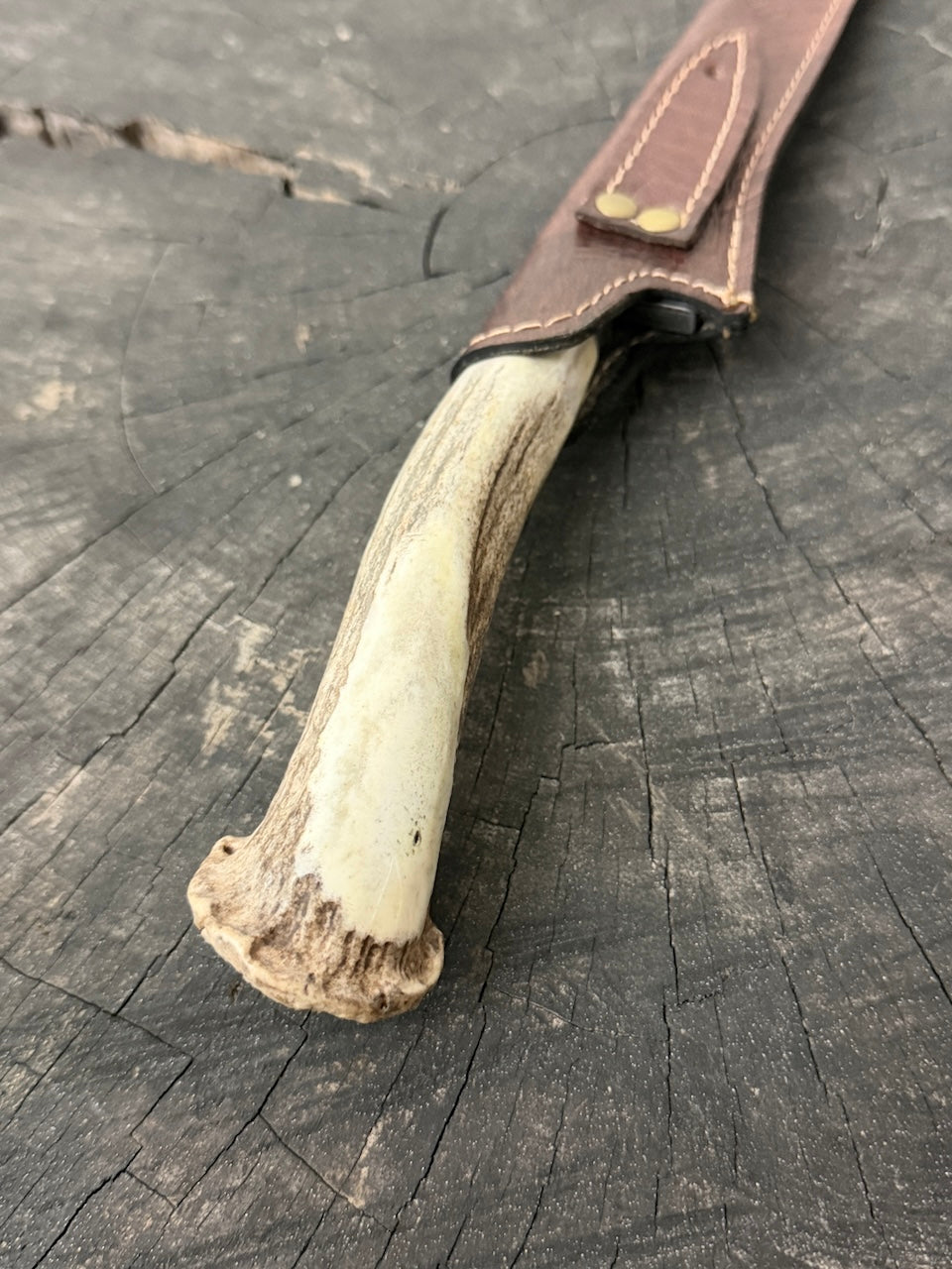 8" Boning Knife, Deer Antler Roseta, SS420 - 200mm