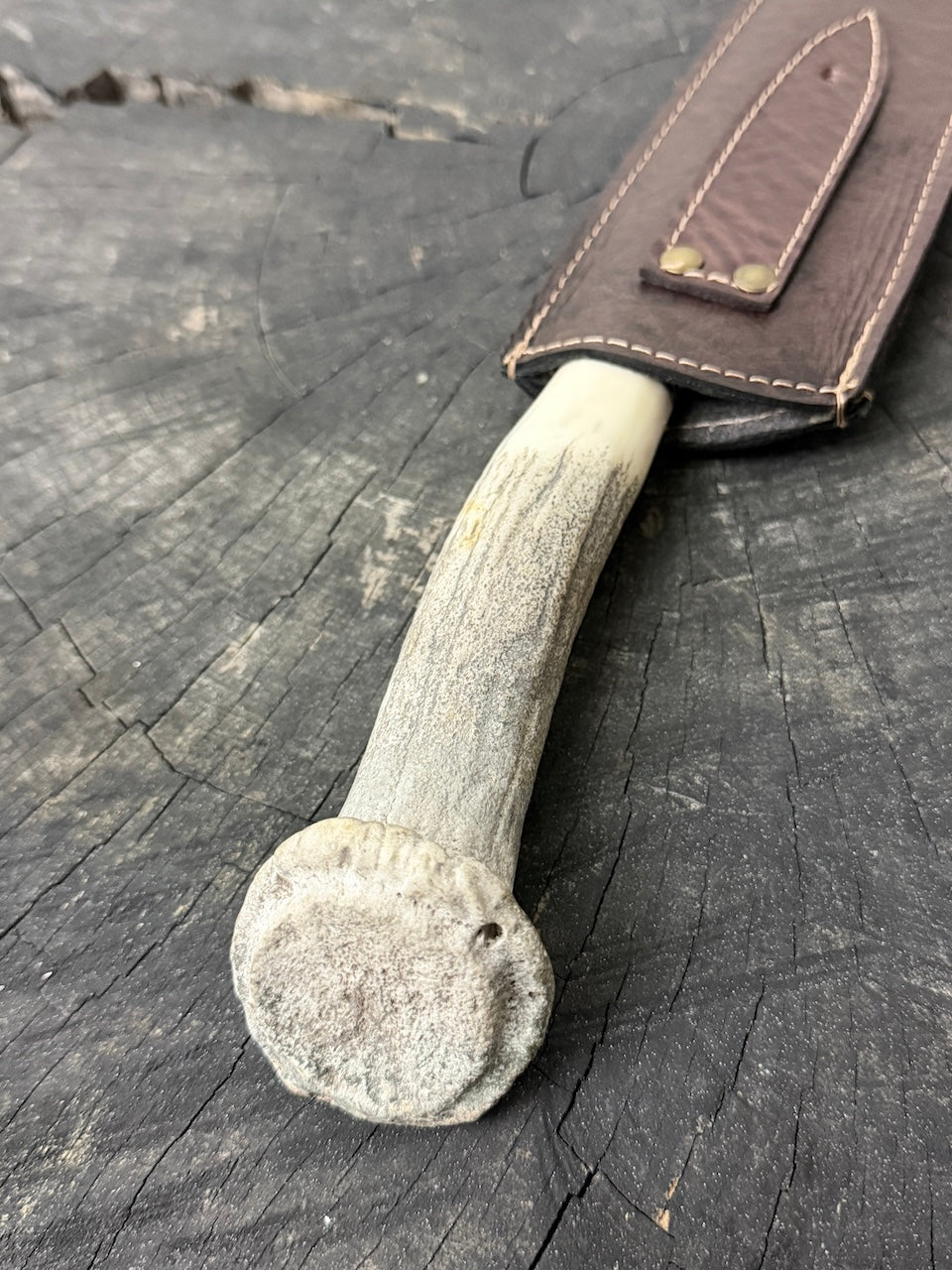 10" Butchers Knife, Deer Antler Roseta, SS440 - 250mm