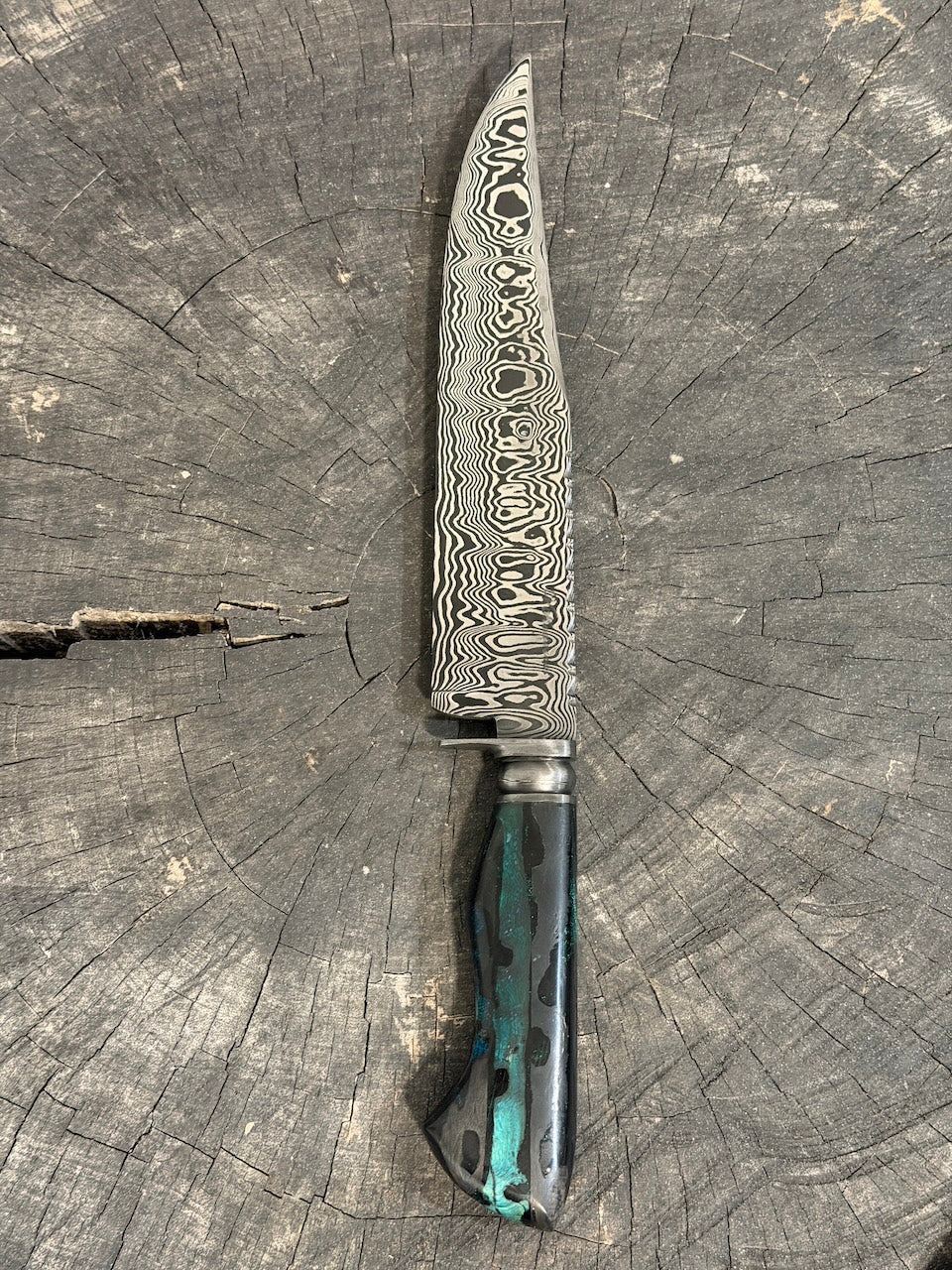 8" Damascus Bowie Knife, Cactus Cholla handle, 220 Layers CS1095 15n20