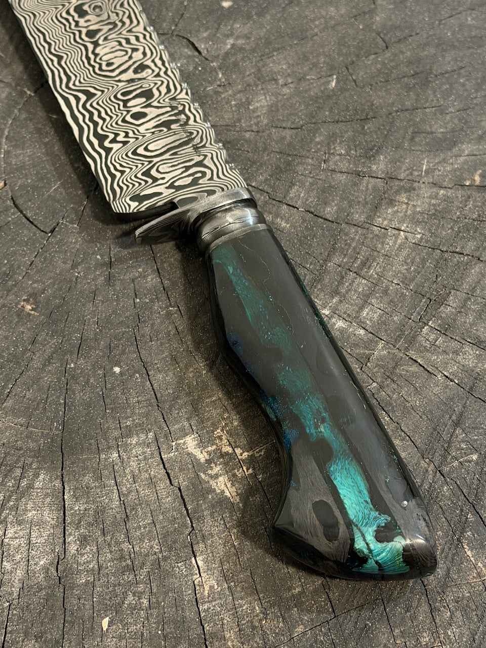 8" Damascus Bowie Knife, Cactus Cholla handle, 220 Layers CS1095 15n20