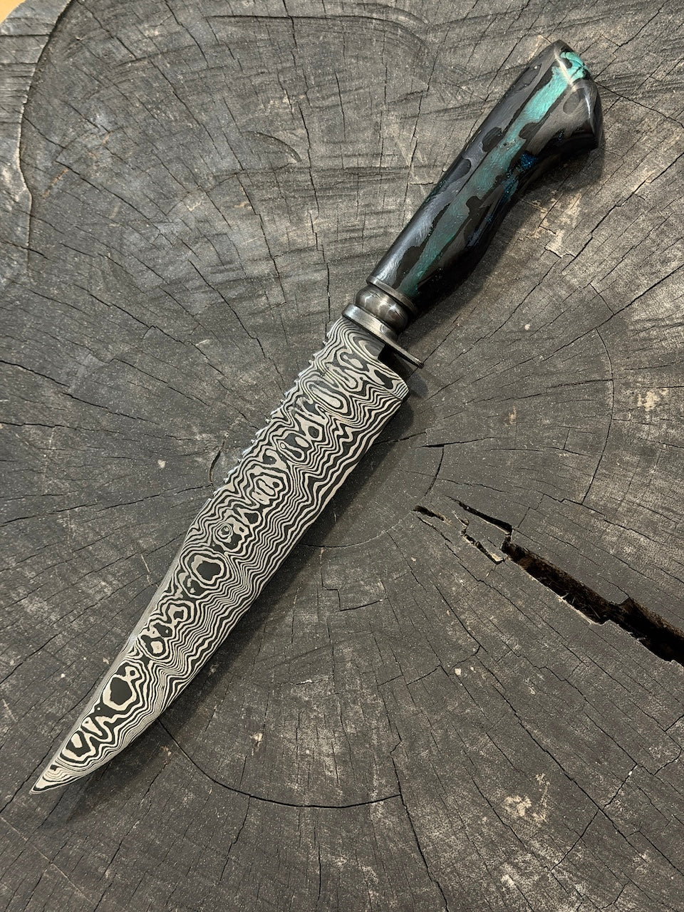 8" Damascus Bowie Knife, Cactus Cholla handle, 220 Layers CS1095 15n20