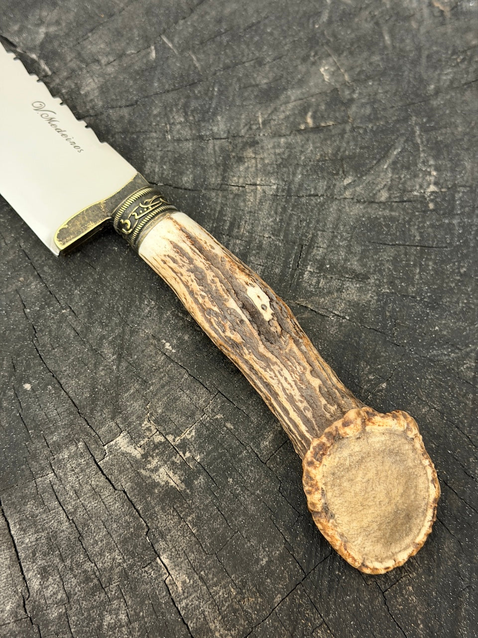 10" Chef Gaucho Knife, Deer Antler Roseta, SS440 - 250mm