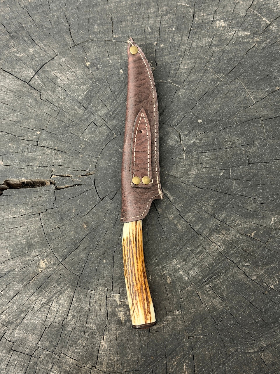 5" Boning Knife, Deer Antler, SS440 - 130mm