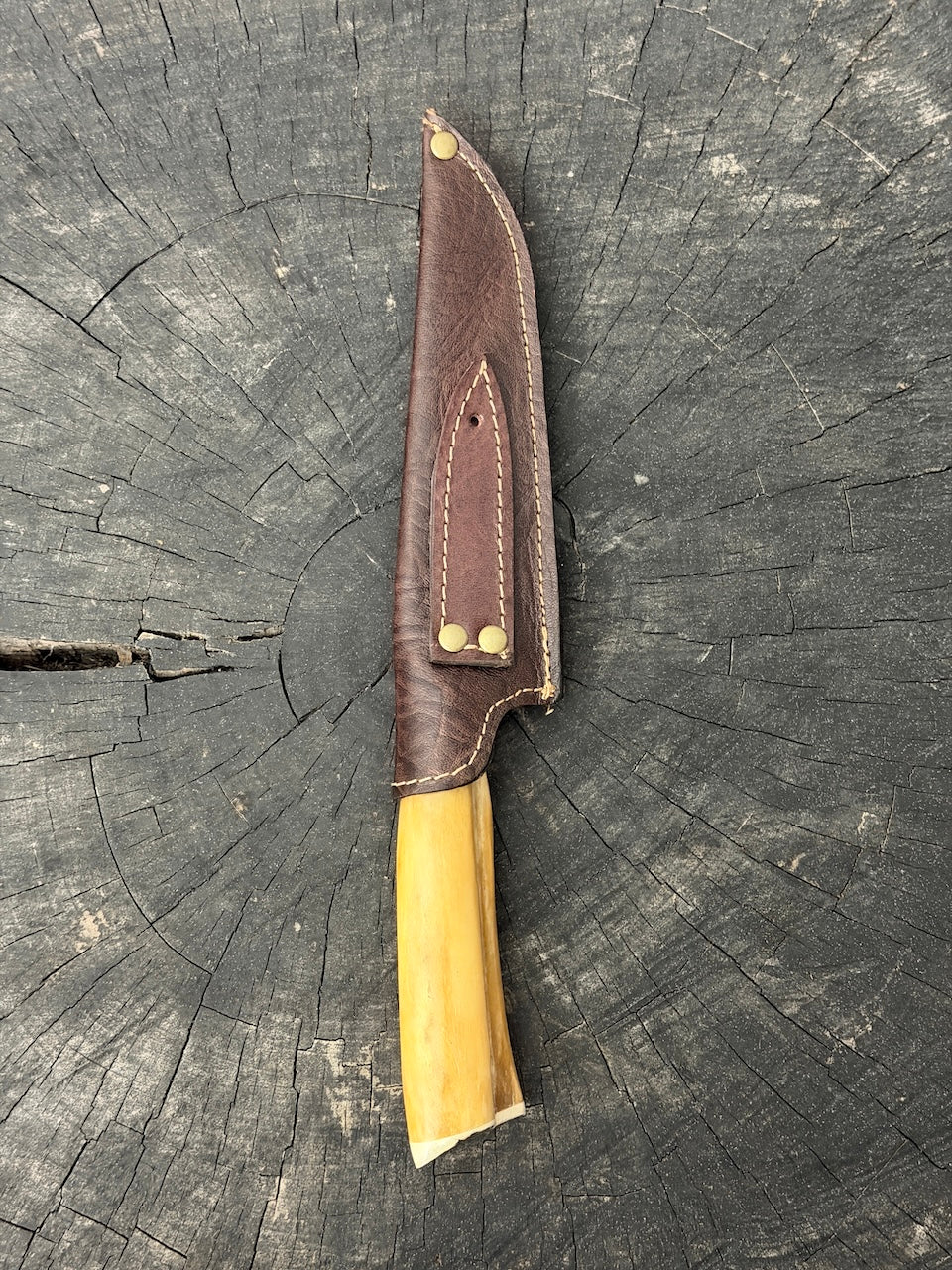 6" Utility Knife, Ostrich Bone, SS440 - 150mm