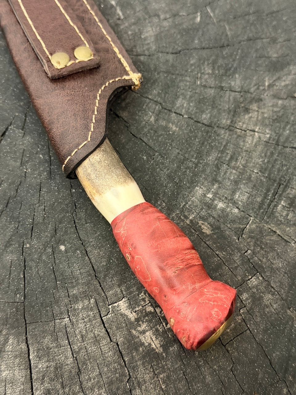 6" Utility Knife, Deer Antler &amp; Maple Burl, SS440 - 150mm